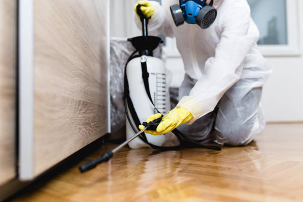 Best Affordable Pest Control Services  in North Key Largo, FL