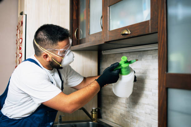Best Affordable Pest Control Services  in North Key Largo, FL