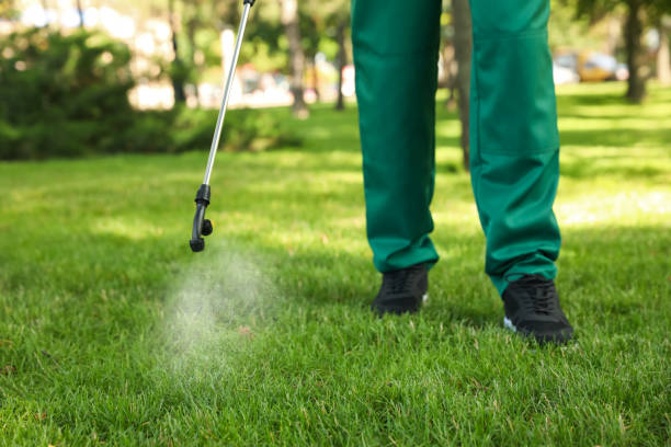Best Insect Control  in North Key Largo, FL