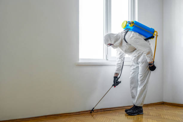 Reliable North Key Largo, FL Pest Control Solutions